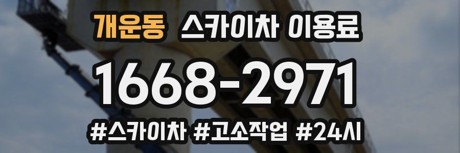 개운동 스카이차 이용료
