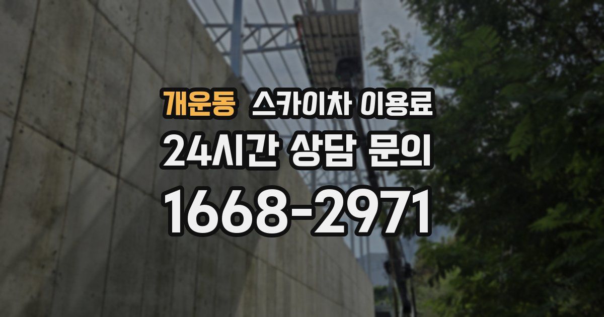 개운동 스카이차 이용료