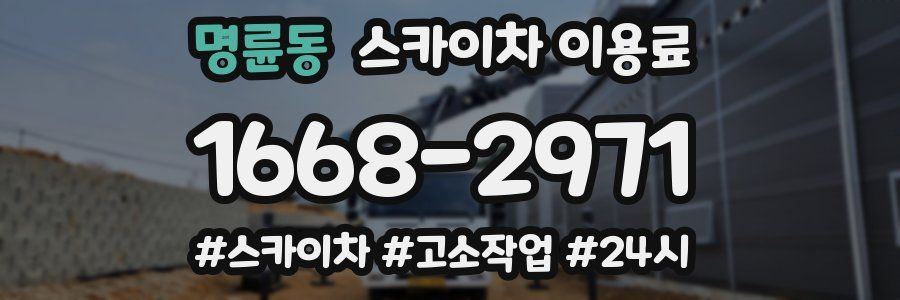 명륜동 스카이차 이용료