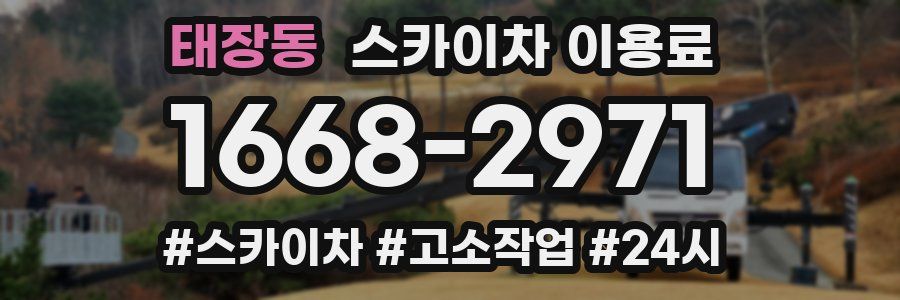 태장동 스카이차 이용료