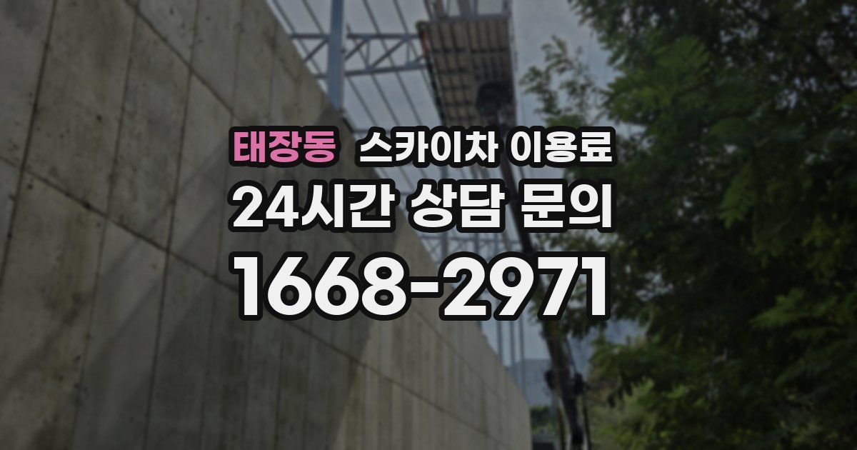 태장동 스카이차 이용료