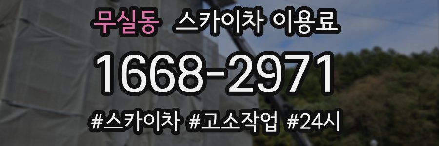 무실동 스카이차 이용료