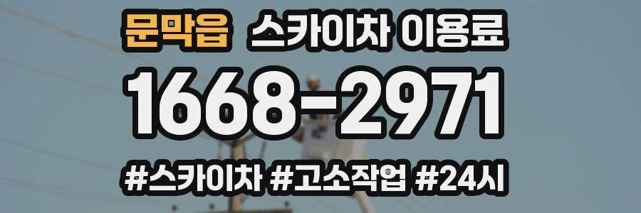 문막읍 스카이차 이용료