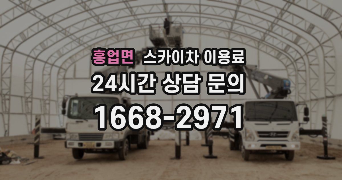 흥업면 스카이차 이용료