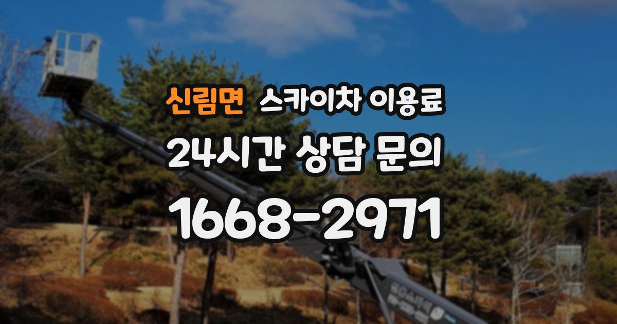 신림면 스카이차 이용료