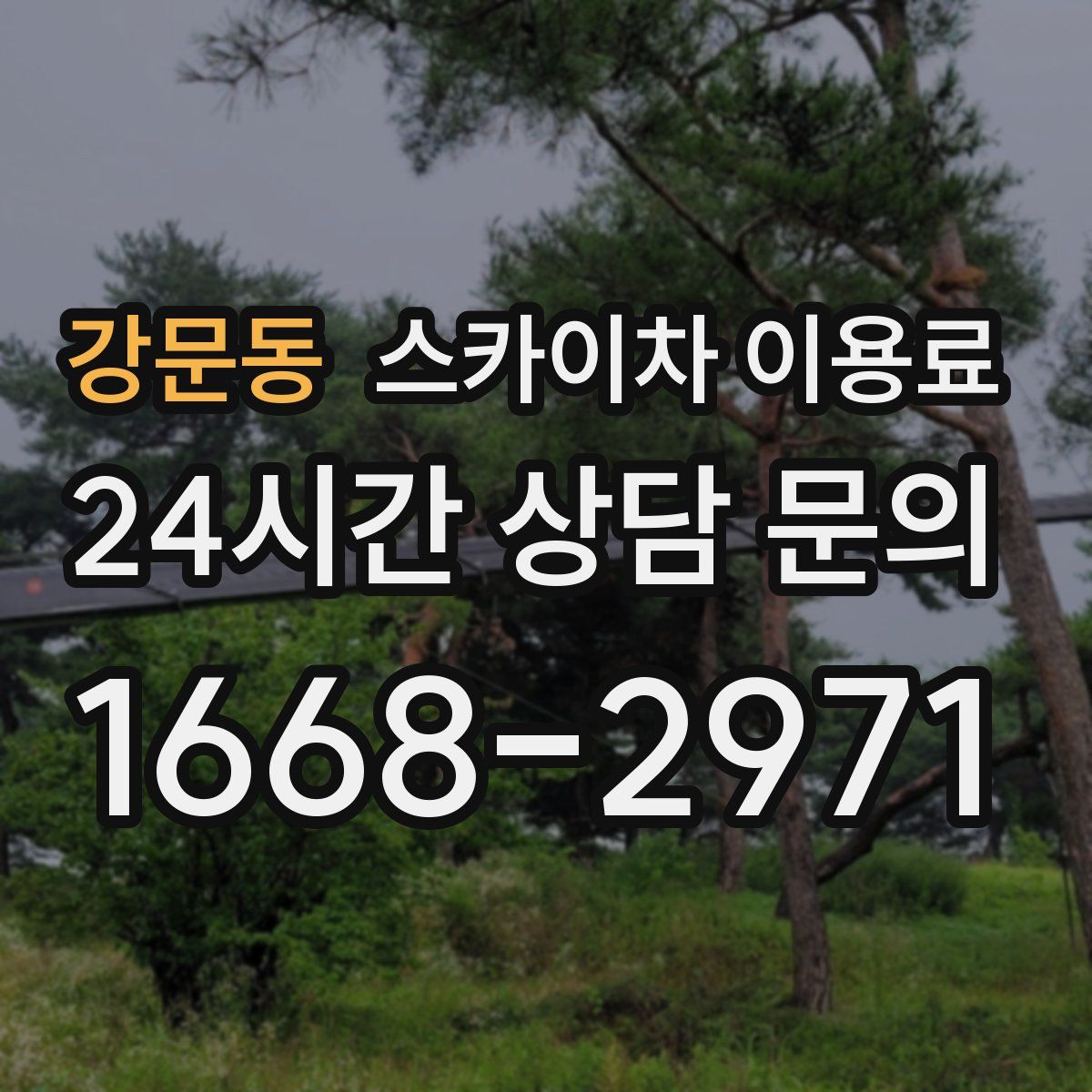 강문동 스카이차 이용료