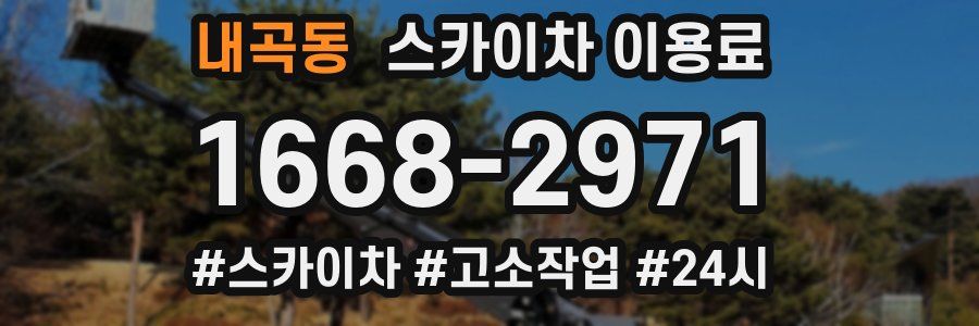 내곡동 스카이차 이용료