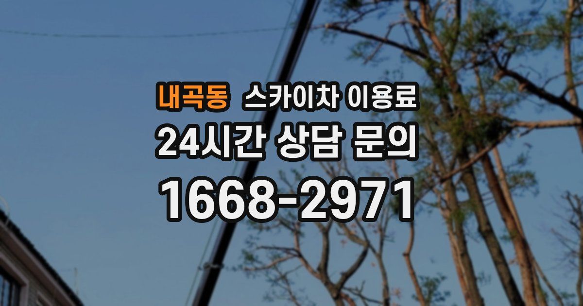 내곡동 스카이차 이용료