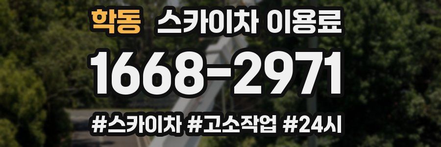 학동 스카이차 이용료