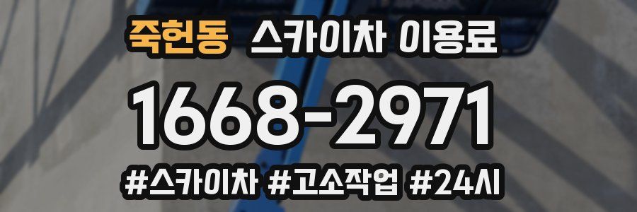 죽헌동 스카이차 이용료