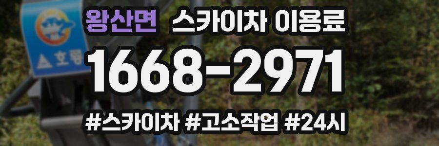 왕산면 스카이차 이용료