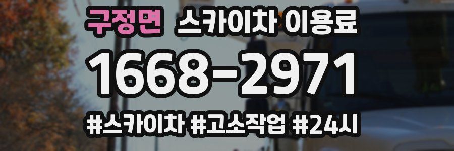 구정면 스카이차 이용료