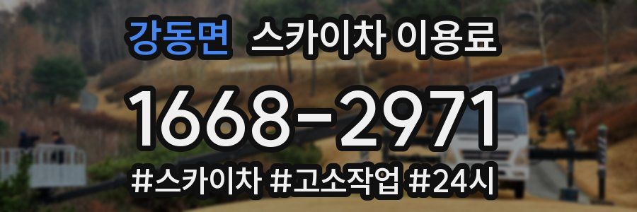 강동면 스카이차 이용료