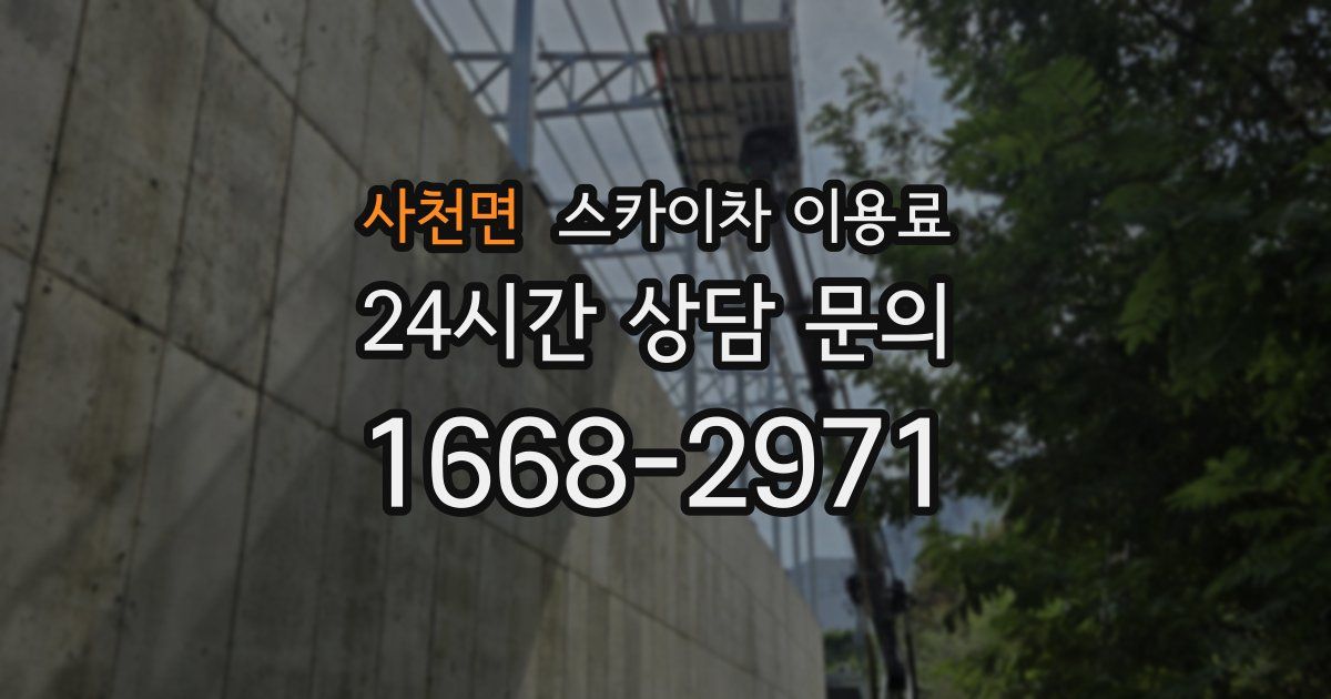 사천면 스카이차 이용료