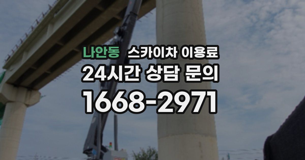 나안동 스카이차 이용료
