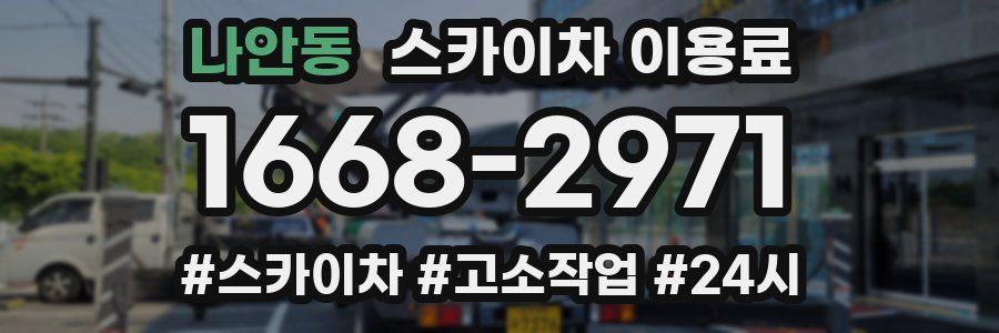 나안동 스카이차 이용료