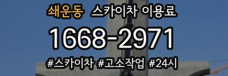 쇄운동 스카이차 이용료