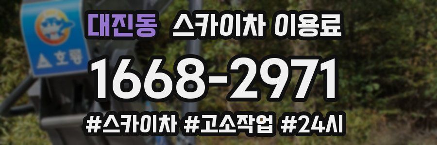 대진동 스카이차 이용료