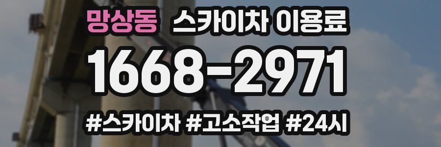 망상동 스카이차 이용료