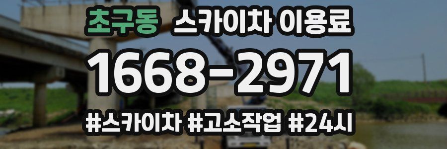초구동 스카이차 이용료