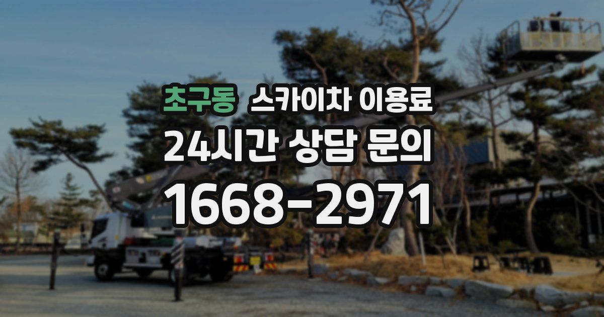 초구동 스카이차 이용료