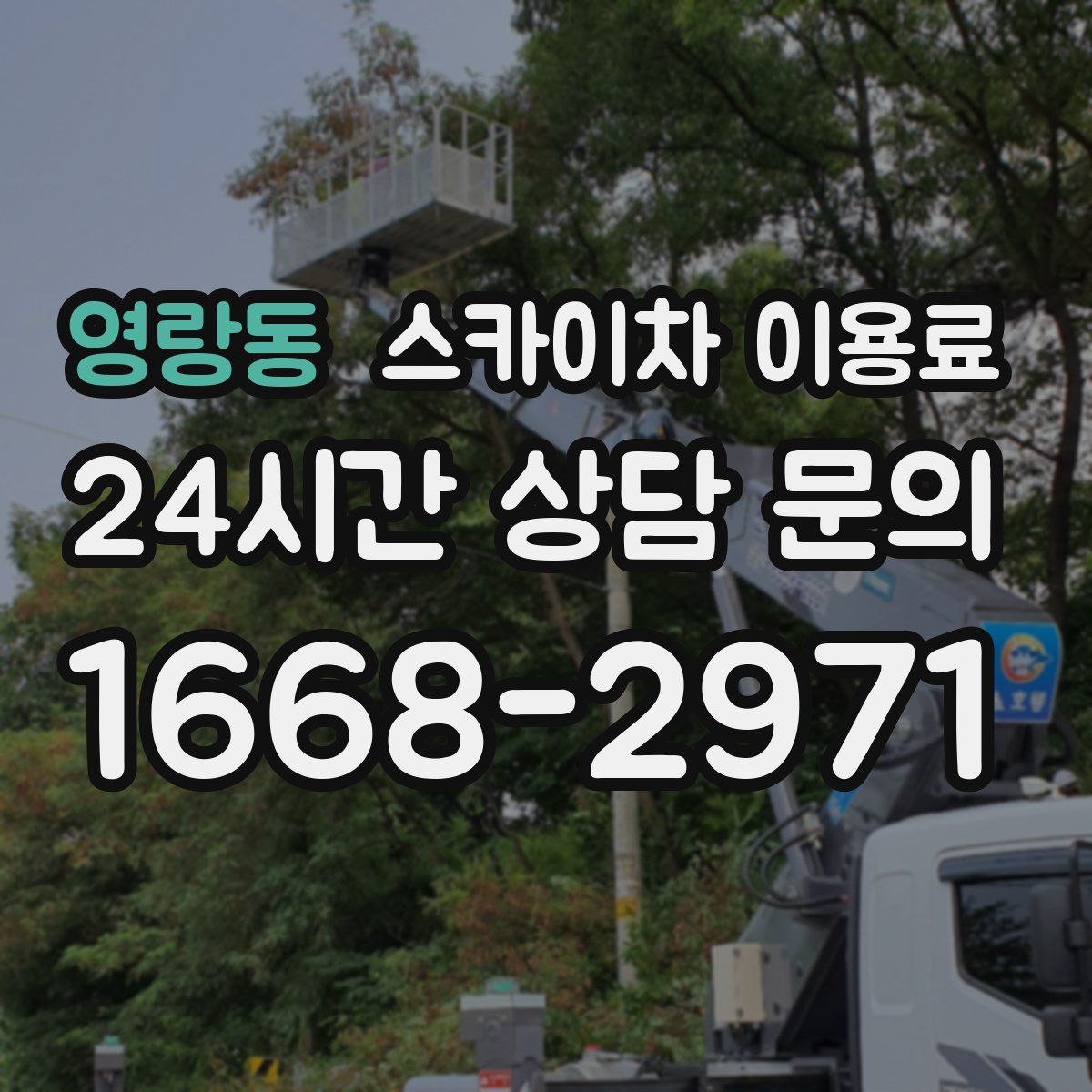 영랑동 스카이차 이용료