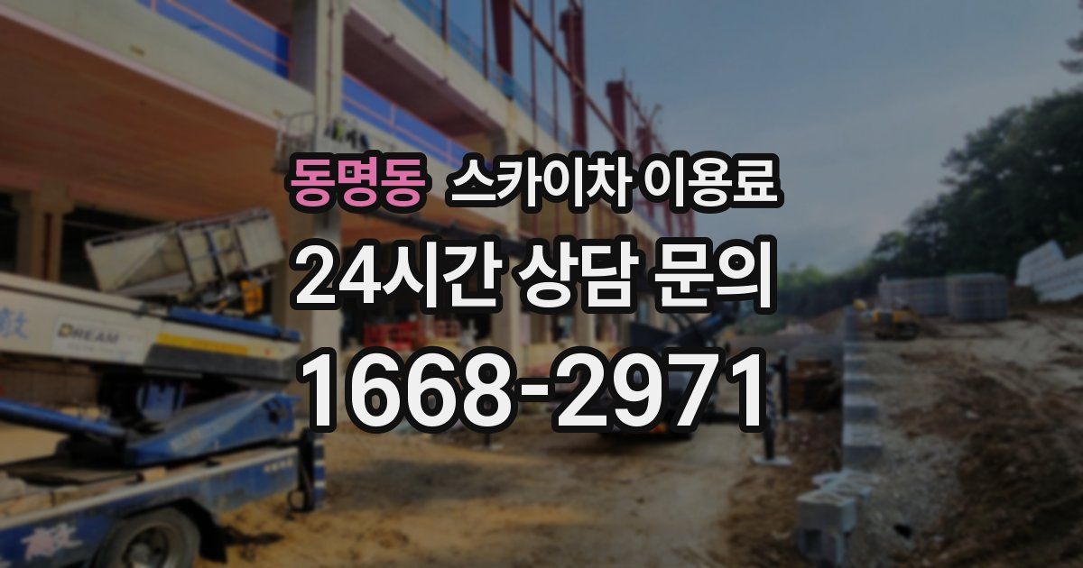동명동 스카이차 이용료