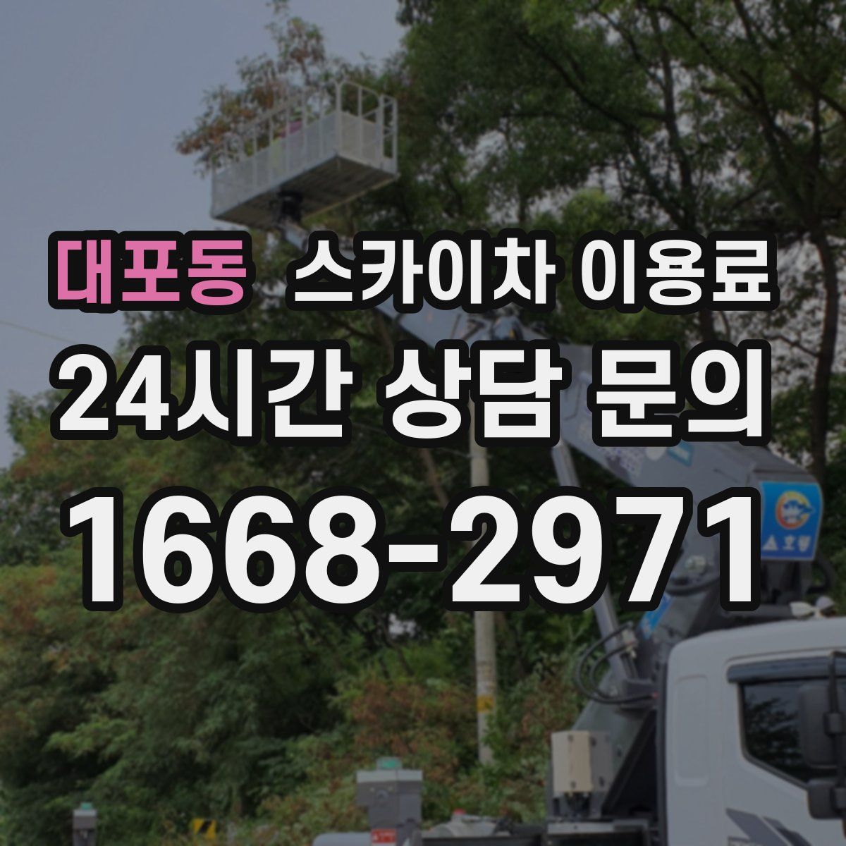 대포동 스카이차 이용료