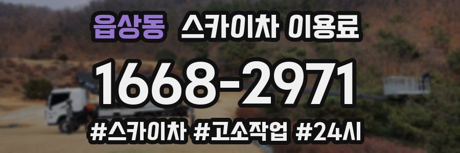 읍상동 스카이차 이용료