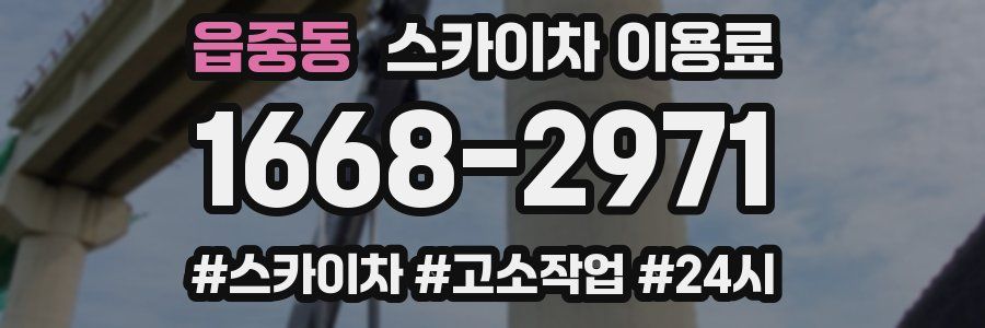 읍중동 스카이차 이용료