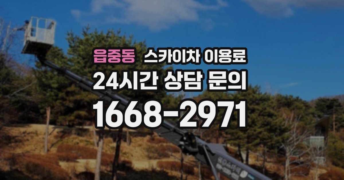 읍중동 스카이차 이용료