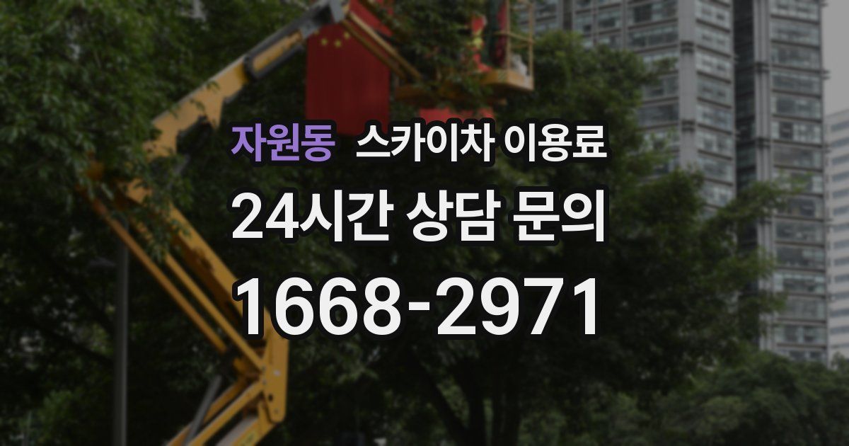 자원동 스카이차 이용료