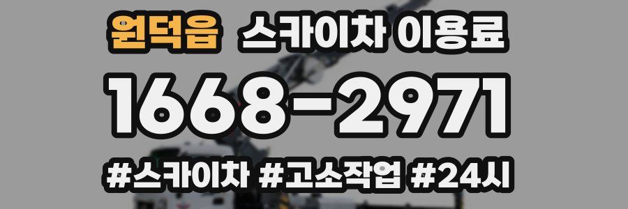 원덕읍 스카이차 이용료
