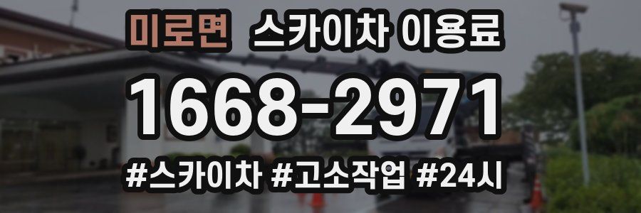 미로면 스카이차 이용료