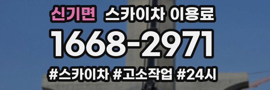 신기면 스카이차 이용료