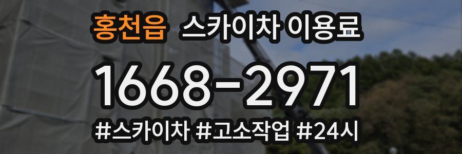 홍천읍 스카이차 이용료
