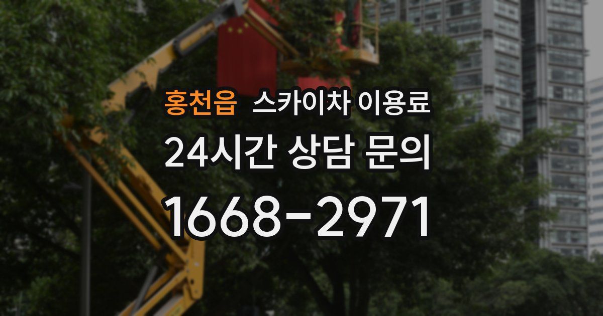 홍천읍 스카이차 이용료