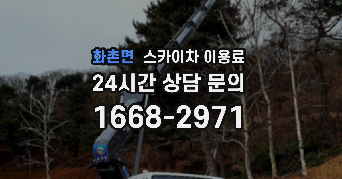 화촌면 스카이차 이용료