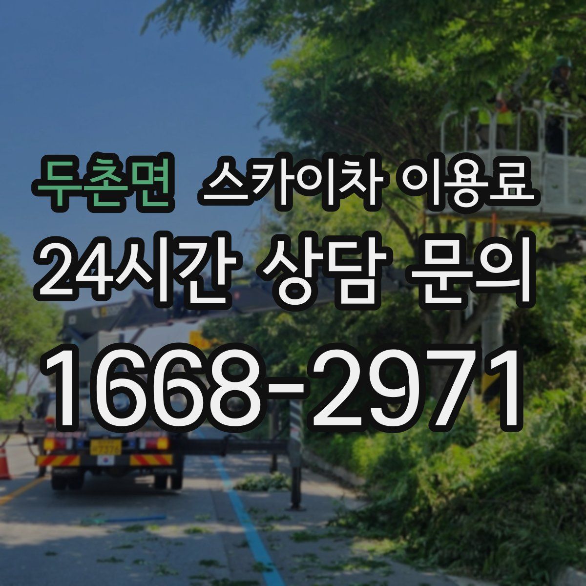 두촌면 스카이차 이용료