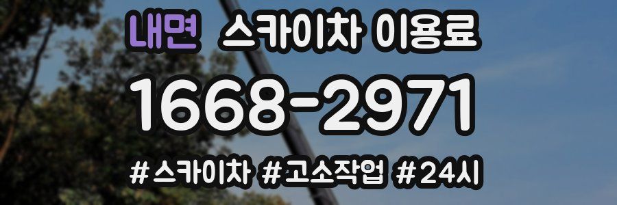 내면 스카이차 이용료