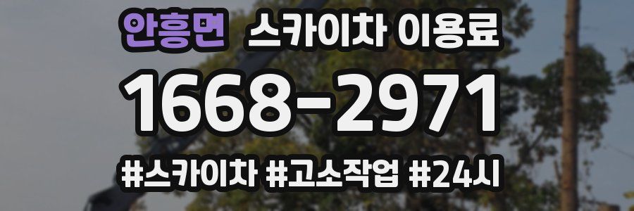 안흥면 스카이차 이용료