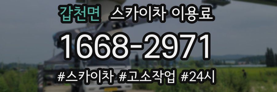 갑천면 스카이차 이용료