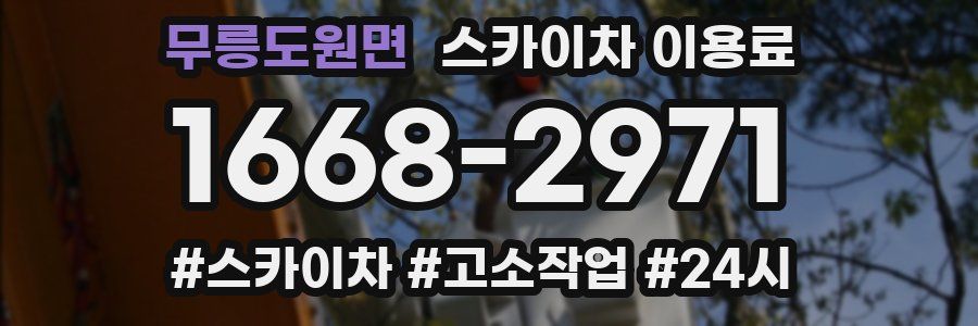 무릉도원면 스카이차 이용료