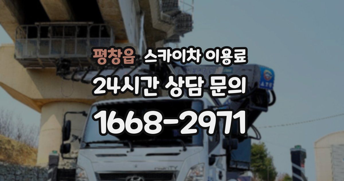평창읍 스카이차 이용료