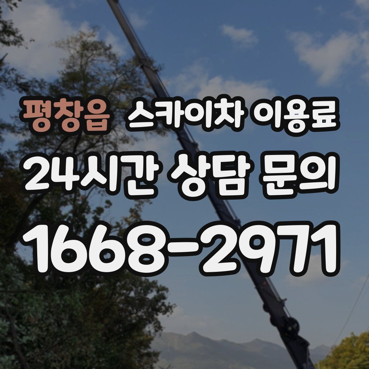 평창읍 스카이차 이용료