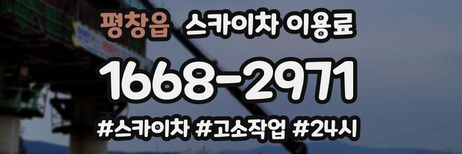 평창읍 스카이차 이용료