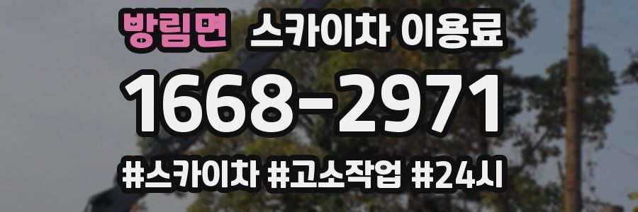 방림면 스카이차 이용료