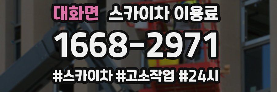대화면 스카이차 이용료