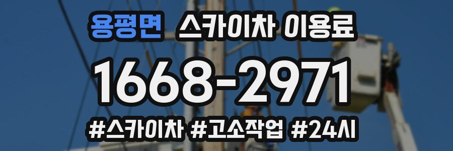 용평면 스카이차 이용료