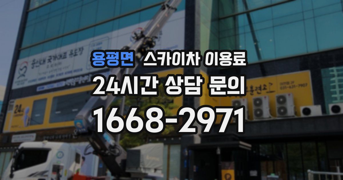 용평면 스카이차 이용료